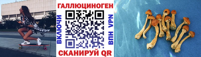 Галлюциногенные грибы Cubensis  где найти наркотики  Якутск 