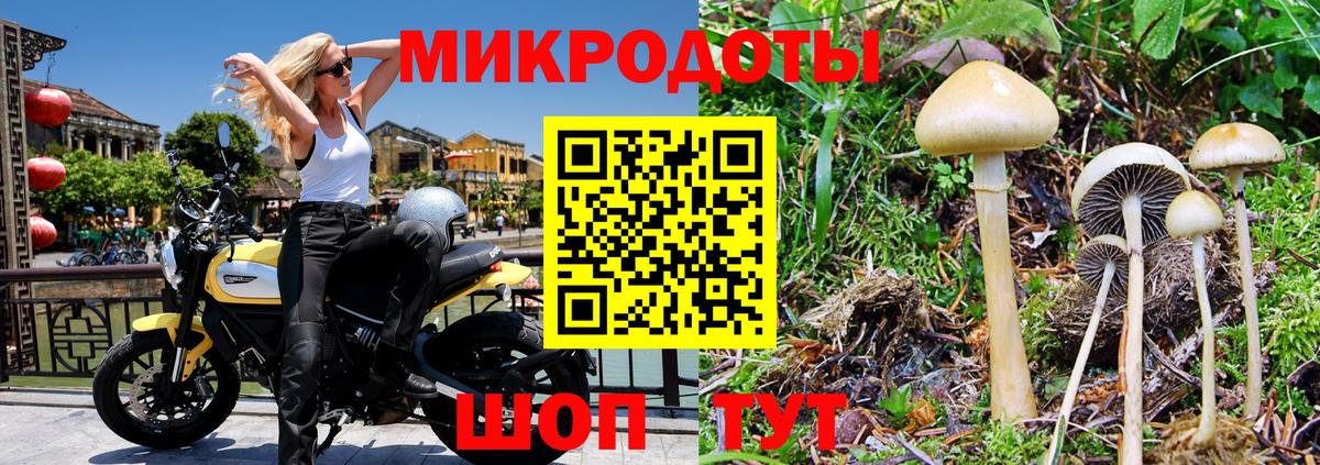 Псилоцибиновые грибы Magic Shrooms  продажа наркотиков  Якутск  Вход с VPN 